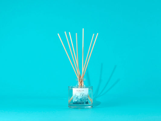 By the Coast Reed Diffuser